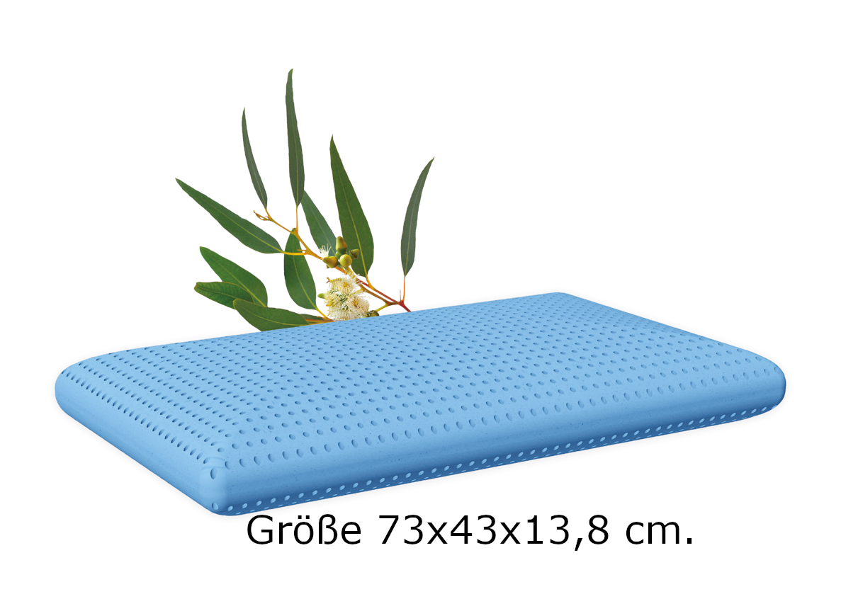 Kopfkissen ( Duftkopfkissen , Memory Foam Kopfkissen ) Eukalyptus Duft