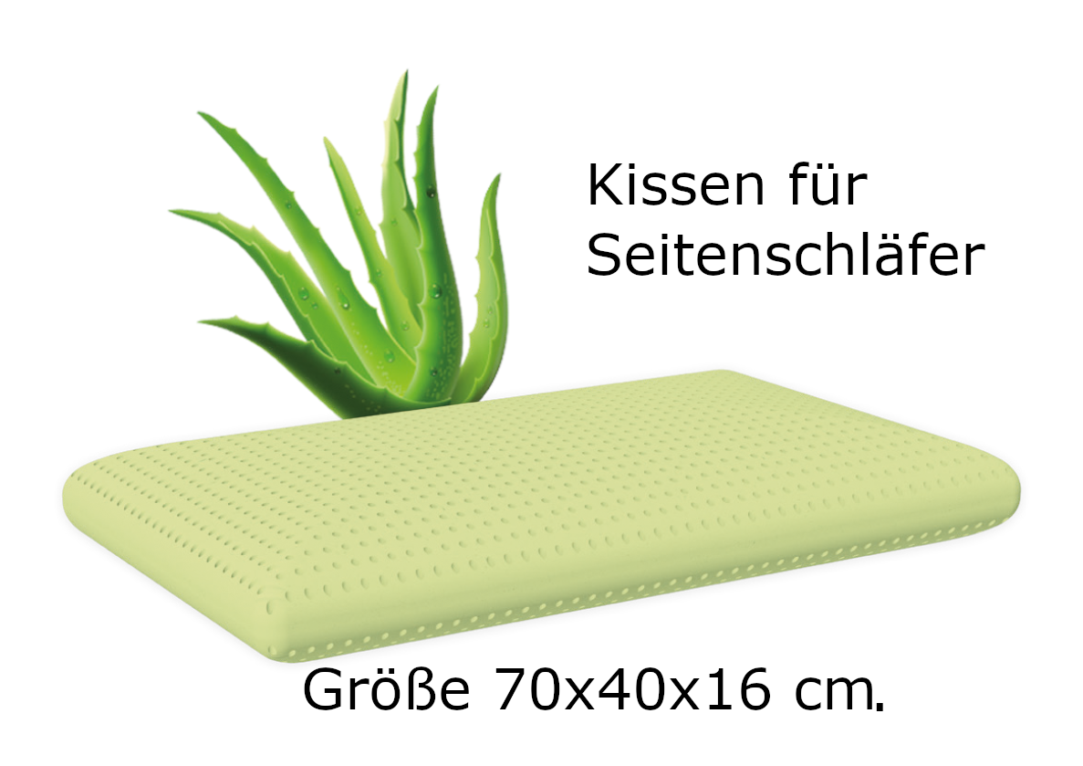 Kopfkissen - Aloe Vera