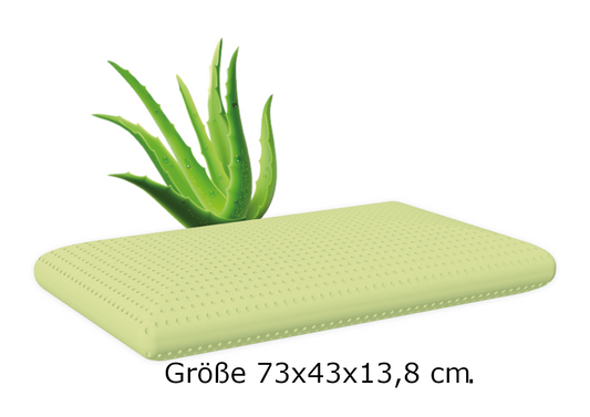 Kopfkissen ( Duftkopfkissen , Memory Foam Kopfkissen ) Aloe Vera Duft